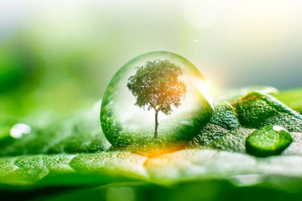 Aresta Group - Regularização de Imóveis e Licenciamento Ambiental
